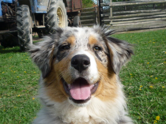 11.1.2012 -  3.9.2024