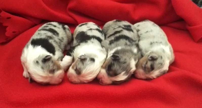 první společné foto